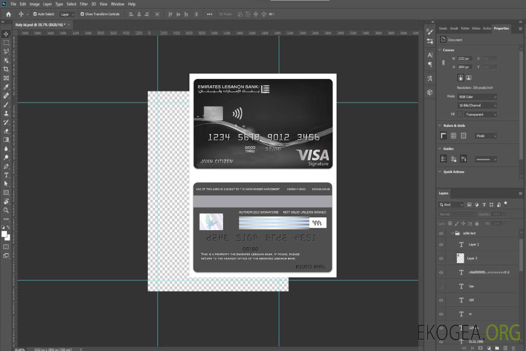Carte de crédit avec signature de visa de la Banque du Liban Emirates Liban template Carte de crédit avec signature de visa de la Banque du Liban Emirates Liban template